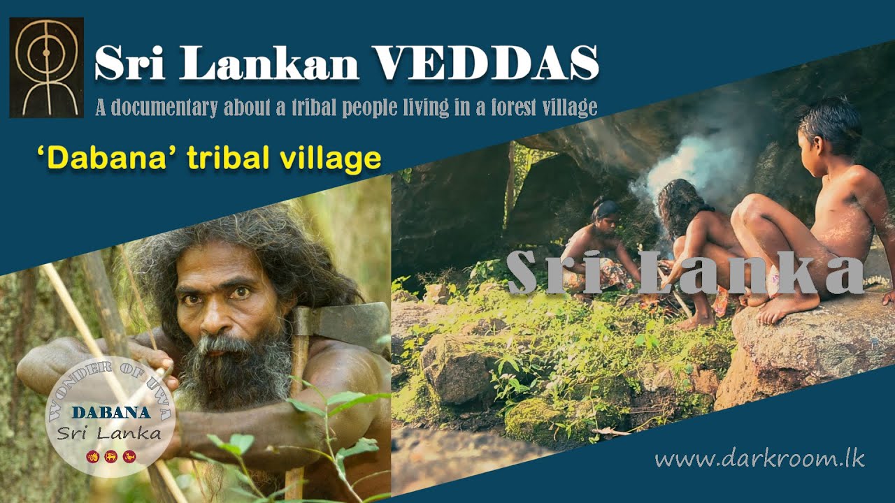 The Untold Story of Sri Lankan Wedda | Welcome to Dabana tribe village | Dabana Tribe Documentary