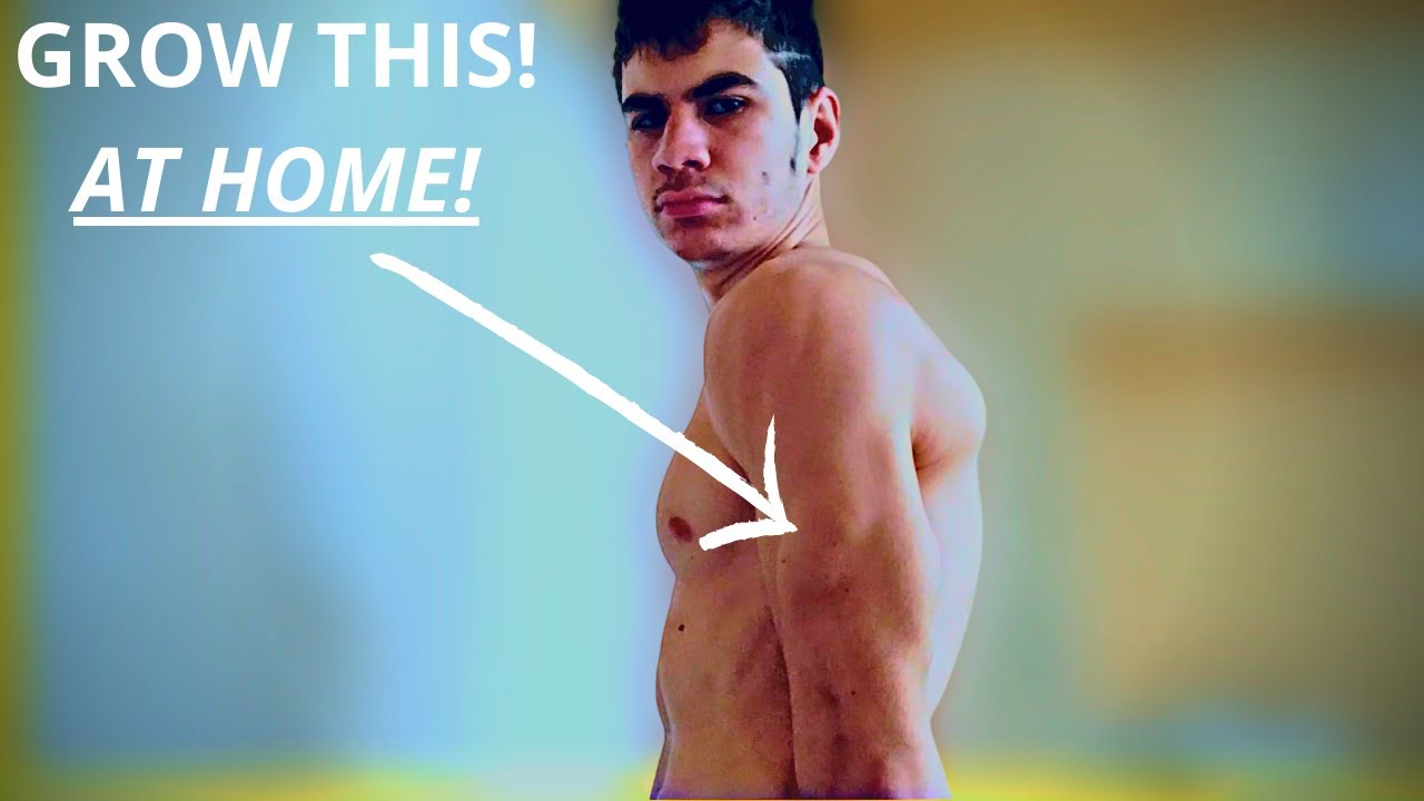 How to GROW Your TRICEPS | At Home | No EQUIPMENT