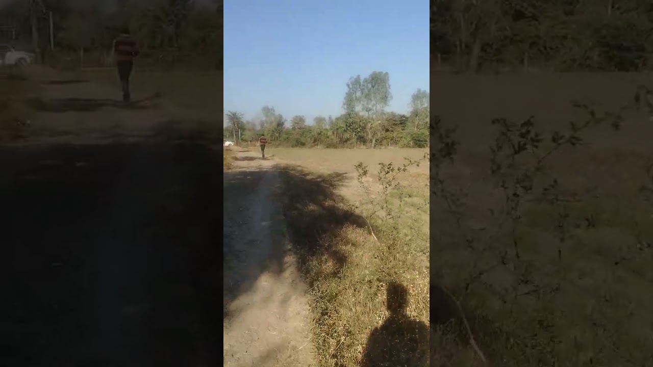 221 beegha jameen 🌱🌾 district vidisha MP Asproprty 🌾🌾 contact us 7987117907