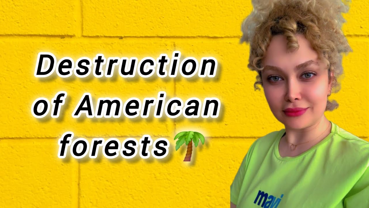 Destruction of America's forests movie :reason for the destruction of America's forests
