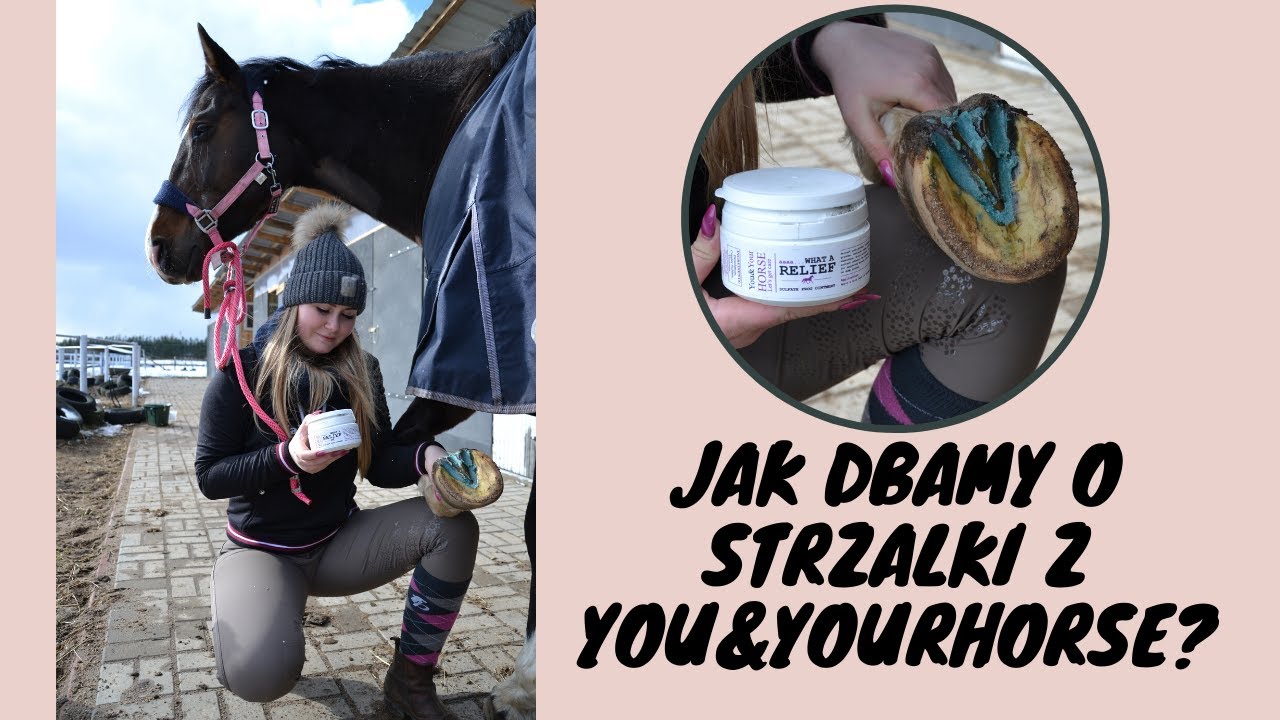 JAK DBAMY O STRZAŁKI Z YOU&YOURHORSE?
