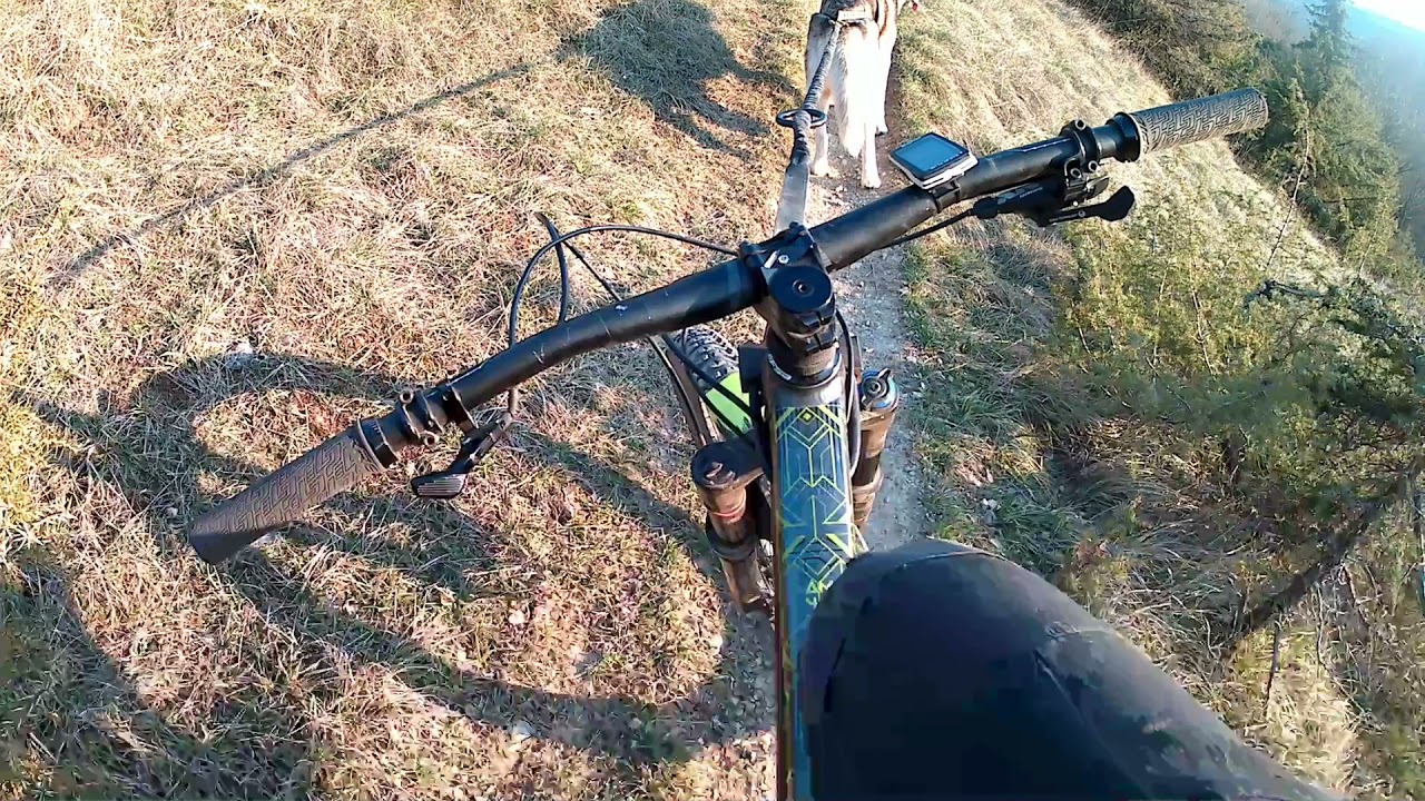 Ride en Cani-VTT sur les sentiers en Aveyron