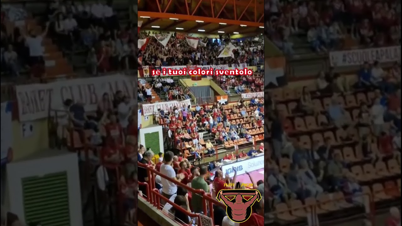 Se i tuoi colori sventolo | Coro ultras Pallacanestro Forlì 2.015 🏀 | Curva Nord Forlì ⚪️🔴 #shorts