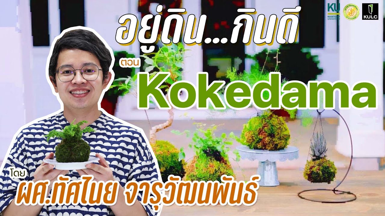 อยู่ดินกินดี | ศิลปะการปลูกต้นไม้สไตล์ญี่ปุ่น : โคเคะดามะ (Kokedama)