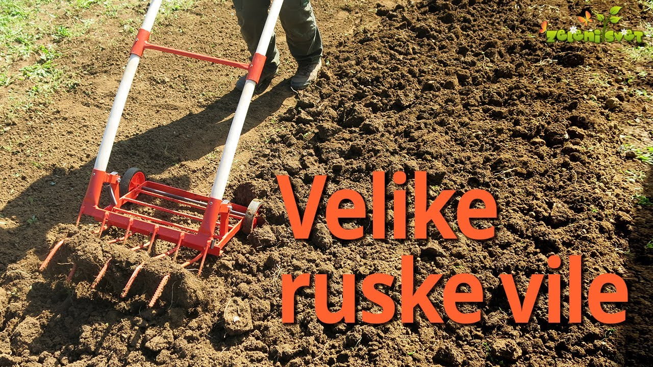 Velike ruske vile 50 cm