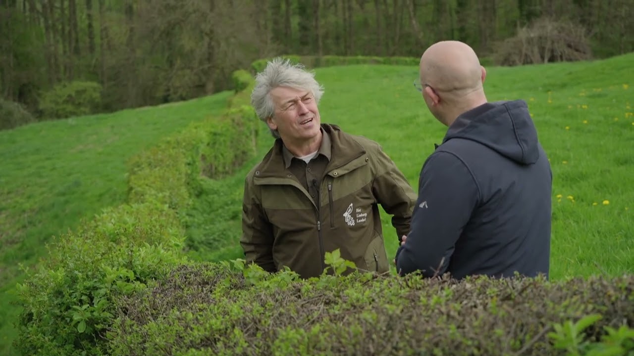 Hoe beheren we kleine landschapselementen zoals heggen, hagen en graften? | Natuur en Zo
