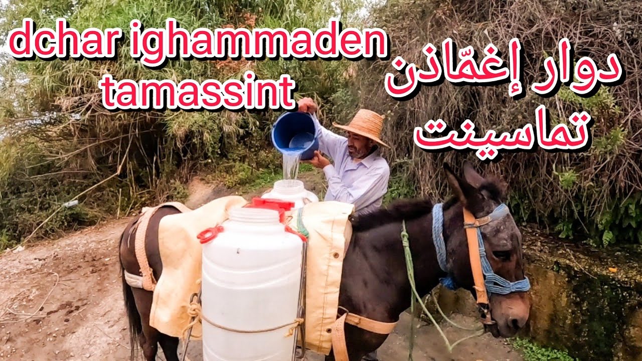 حوار شيق مع فلاح من أحد دواوير تماسينت الحسيمة ALhoceima