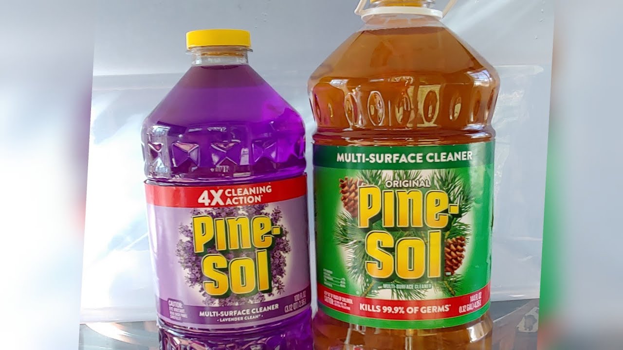 ASMR squeezing  2 Gallons Of Pine Sol