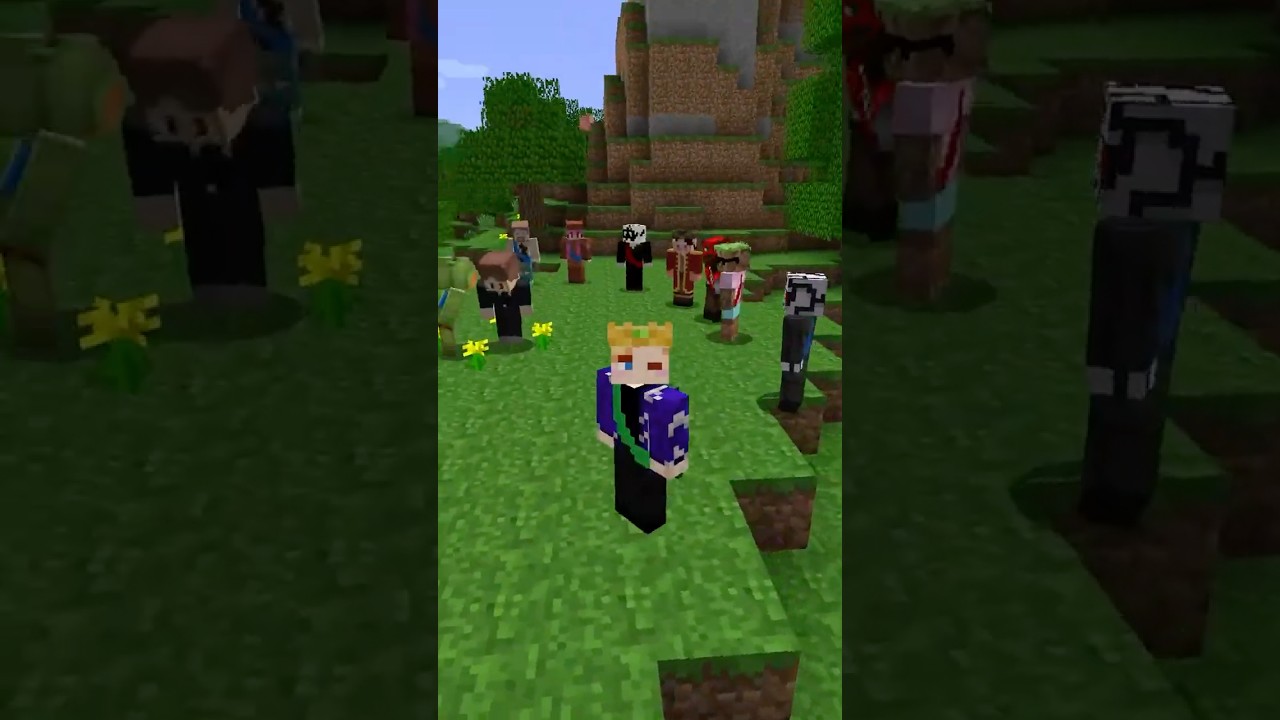 Beta 1.7.3 UHC Rules are clear