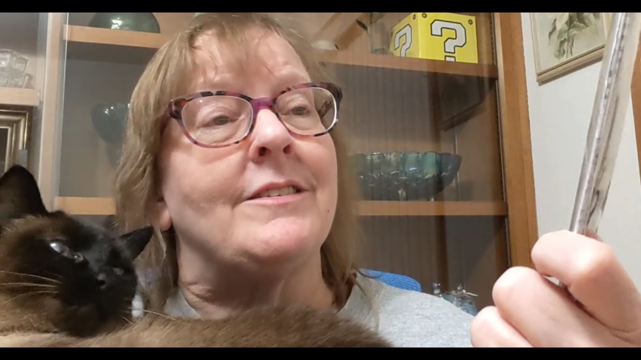 Flosstube #50 Technical Difficulties with Cats and WIPs