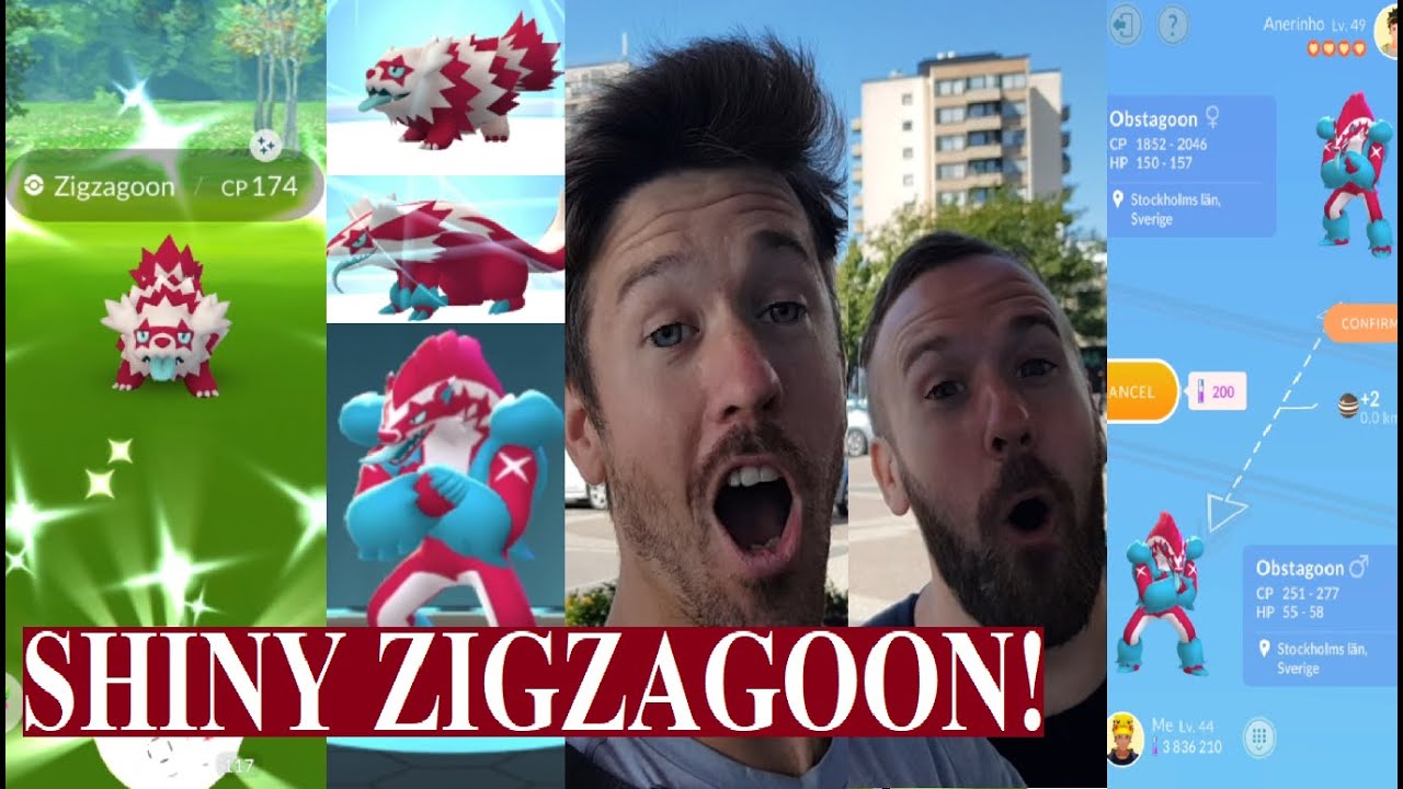 Pokémon GO på Svenska | SHINY GALARIAN ZIGZAGOON COMMUNITY DAGEN! | Johans Pokemon GO