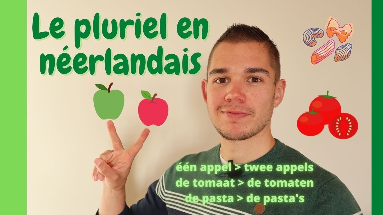 Le pluriel en néerlandais - één appel : twee appels 🍎🍏apprendre la grammaire néerlandaise en ligne