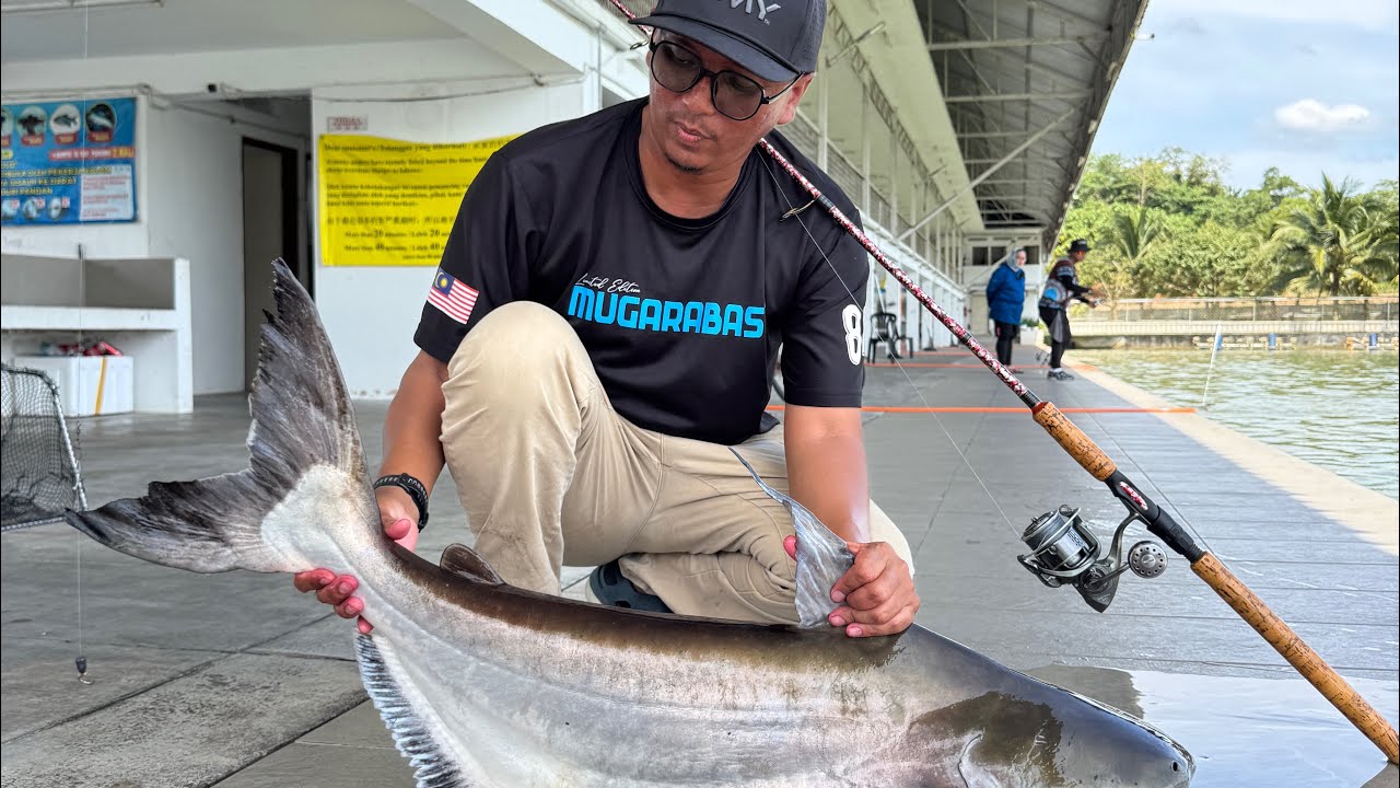MEMANCING DI KOLAM EXOTIC BEHRANG PERAK SAIZ IKAN BESAR BASS.!!!