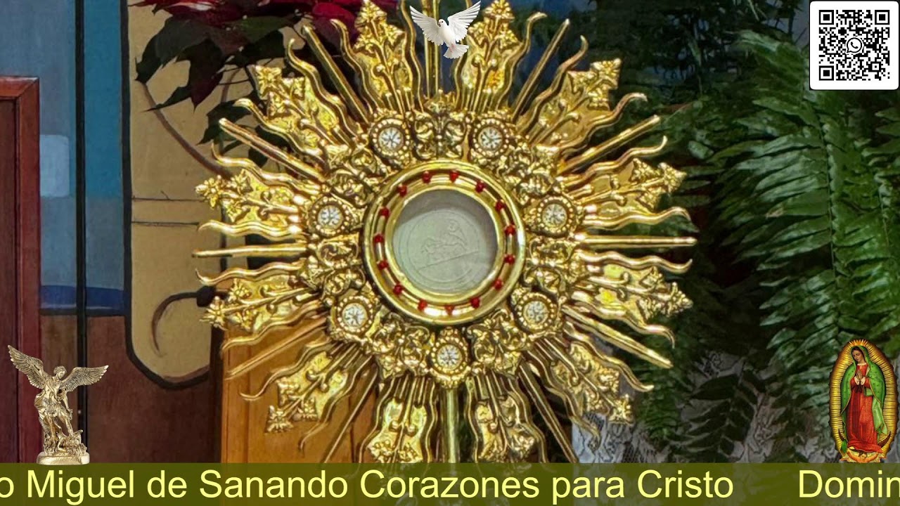 Domingo, 08 feb 2026. Momento de reflexión y alabanza / Hno Miguel de Sanando Corazones para Cristo