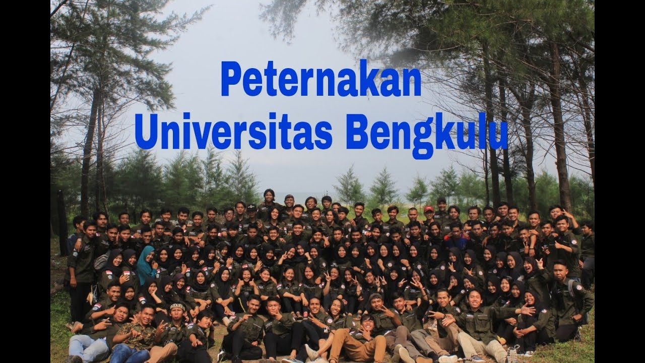 Jurusan Peternakan UNIB 2017 #shorts