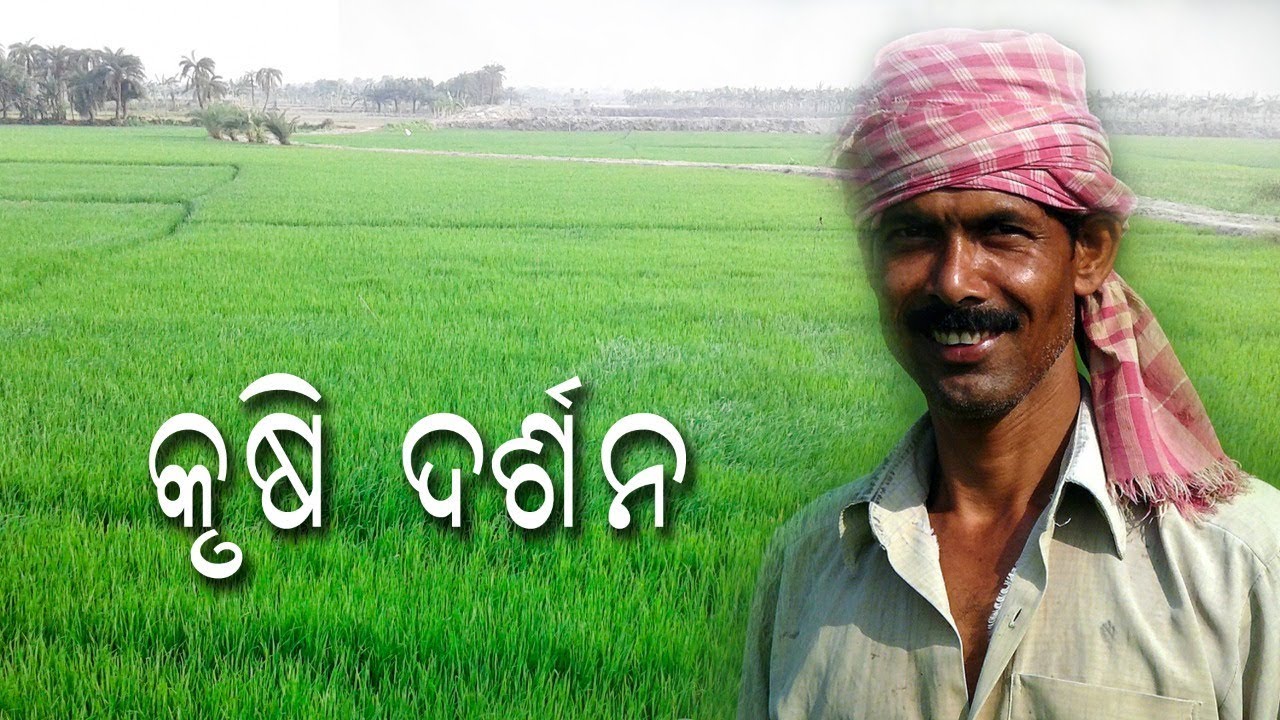 କୃଷି ଦର୍ଶନ  ||  Krushi Darshan