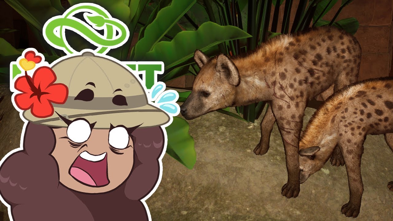 HYENA Riots at Laughing Court?! 🦙 Jungle Expedition! • #13