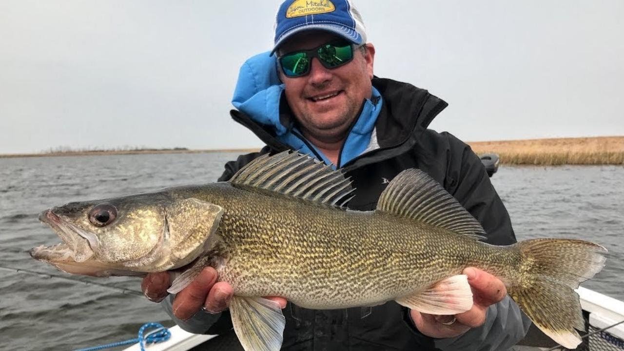 Walleye Chaos on Devils Lake