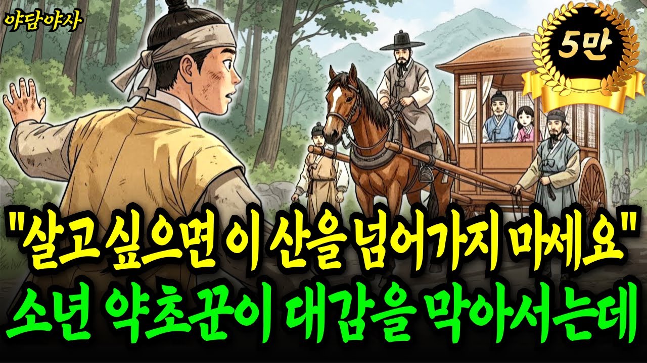 ”살고 싶으면 이 산을 넘어가지 마세요” 천재 소년 약초꾼이 대감의 앞길을 막아서는데, 이 소년의 정체는? |야담 민담 전설 설화 옛날이야기 오디오북 수면동화|
