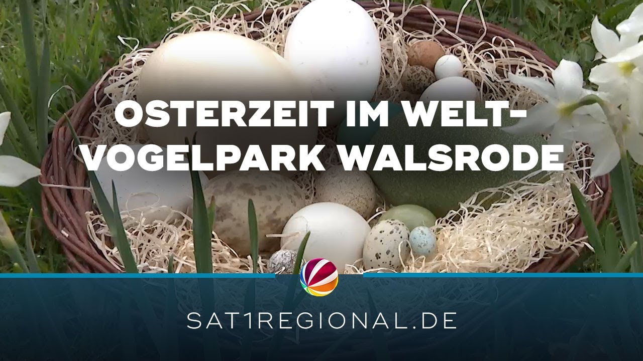 Osterzeit im Weltvogelpark Walsrode