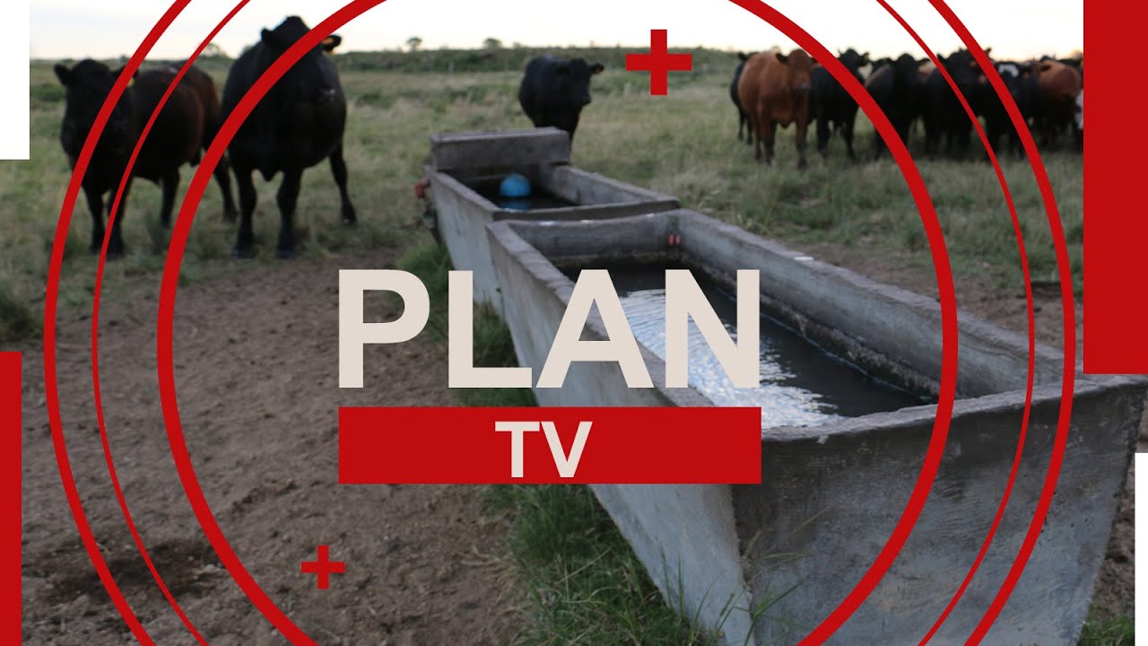 Programa del 1 de agosto de Plan Agropecuario TV