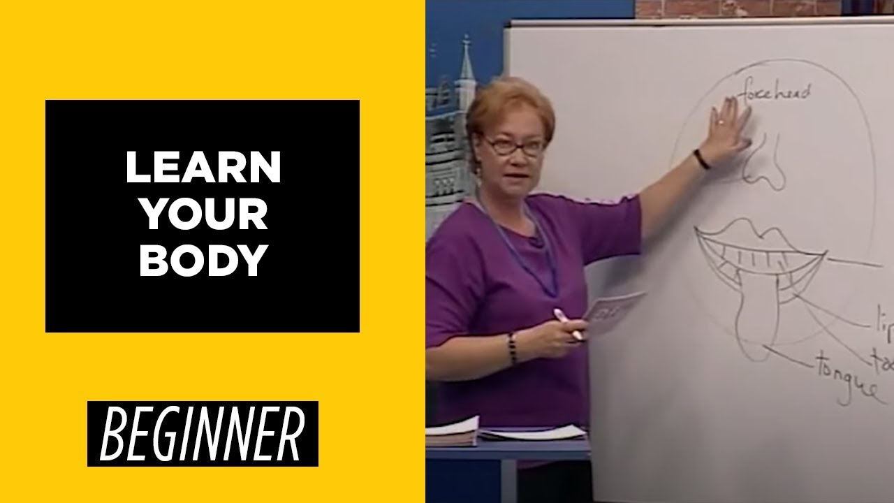 Beginner Level  - Learn Your Body | English For You