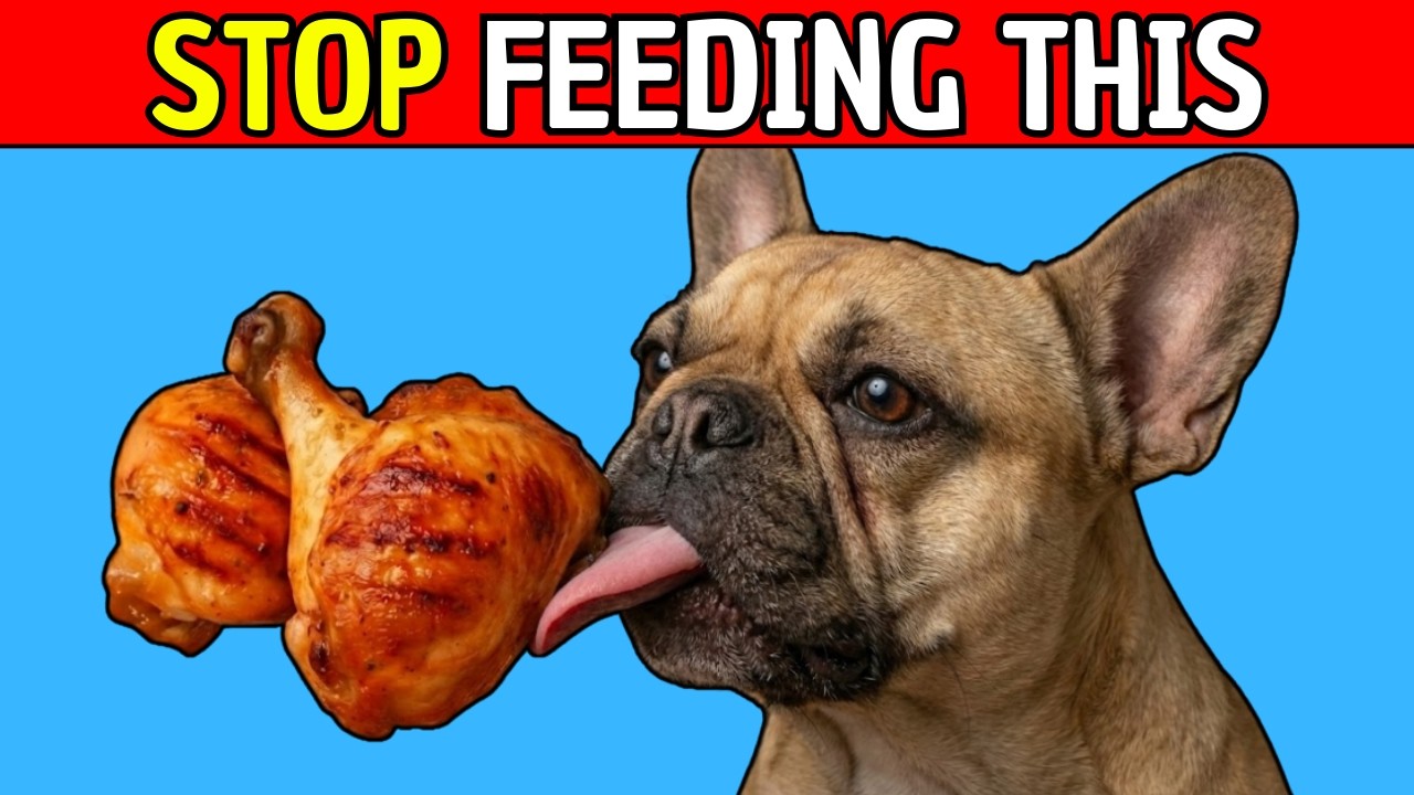 12 Foods You Should NEVER Feed Your Dog (Even If They LOVE Them)