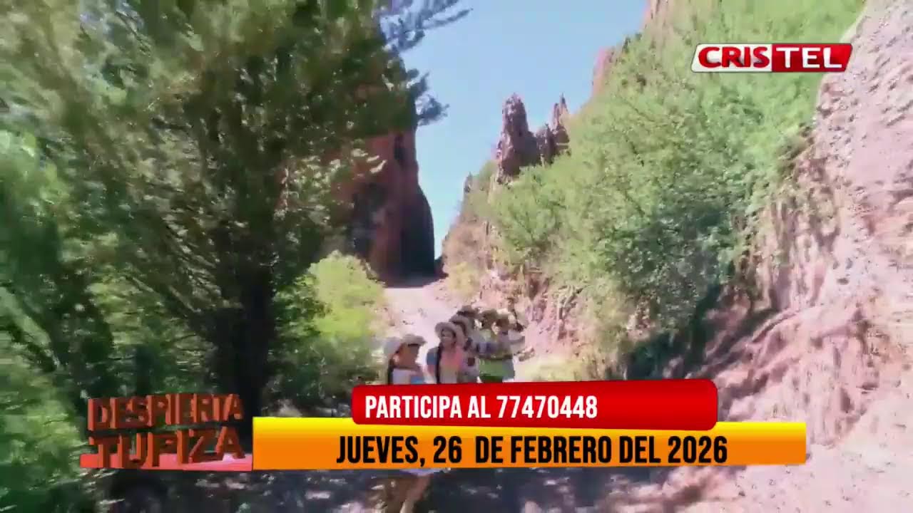 DT  26   DE   FEBRERO 2026