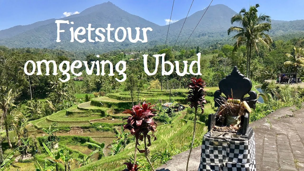 Fietstour omgeving Ubud