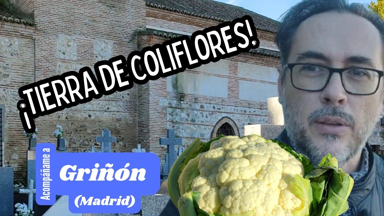 TIERRA DE COLIFLORES EN PUEBLO DE MADRID | Griñón