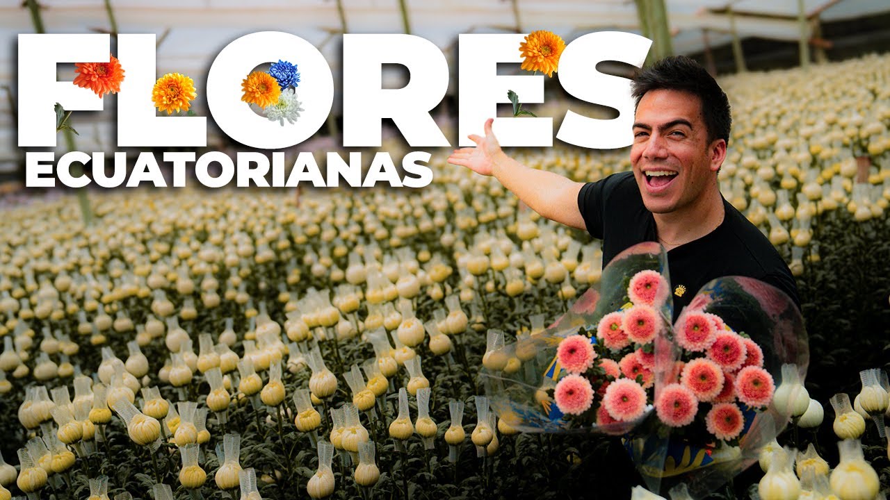 Así se EXPORTAN las FLORES del ECUADOR | El Champ