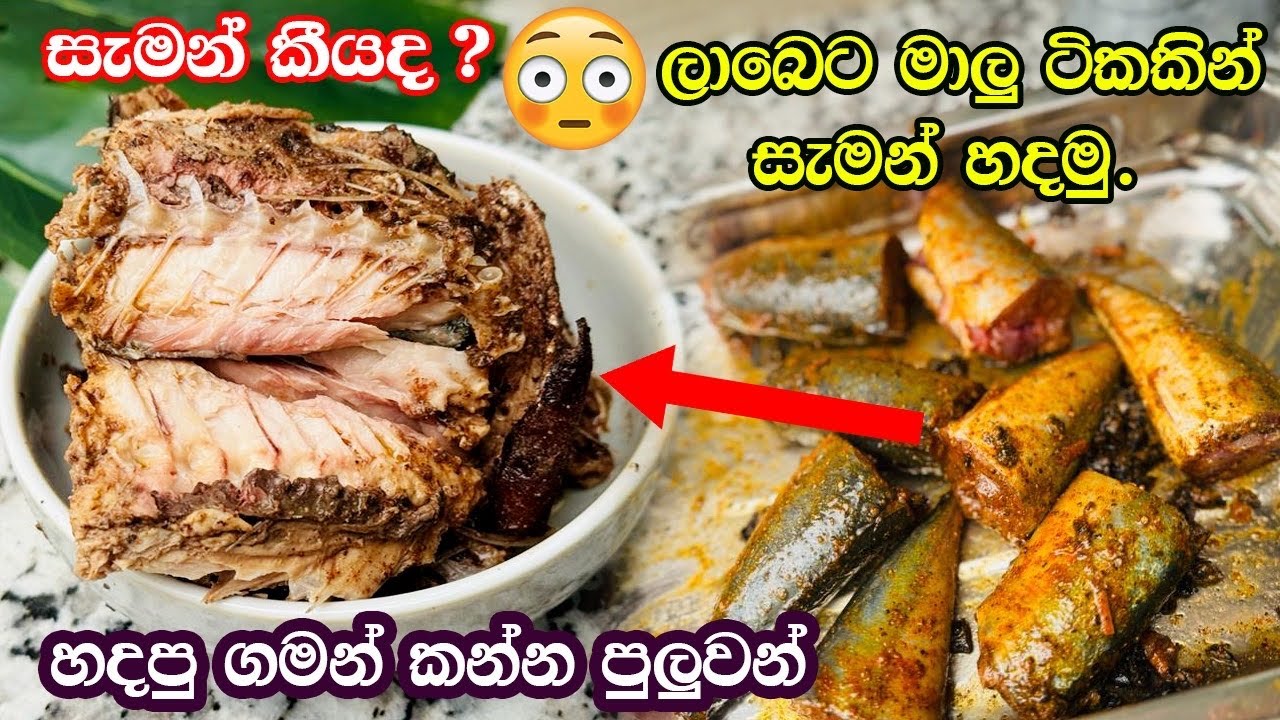 වියදම අඩුවෙන්  ලාබ මාලු පැයක් ඇතුලත සැමන් කරන විදිය| ටින් මාලු වලට වඩා රසයි |Homemade Salmon Recipe