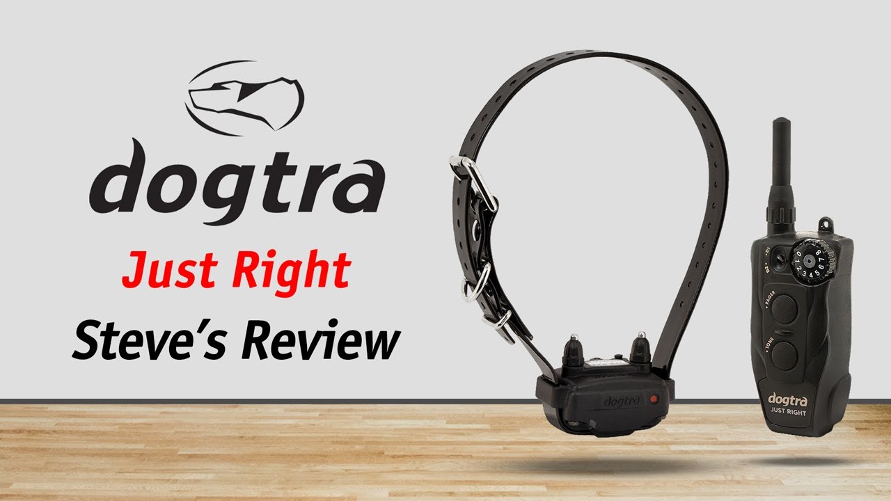 Steve's Reviews: Dogtra Just Right E-Collar