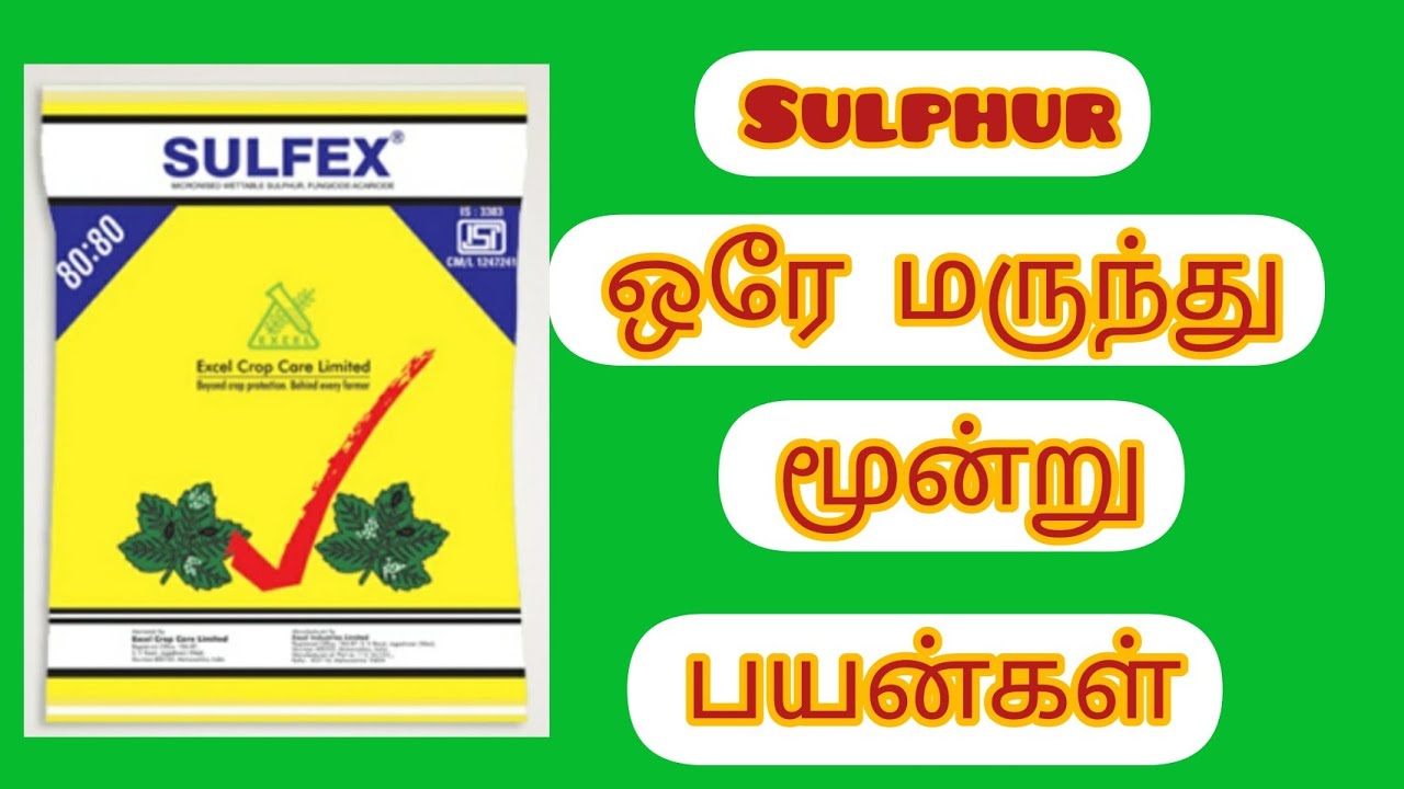 சல்பர் மருந்தின் பயன்கள்#sulphur use in plant||yield increase in chemical|| agriculture information