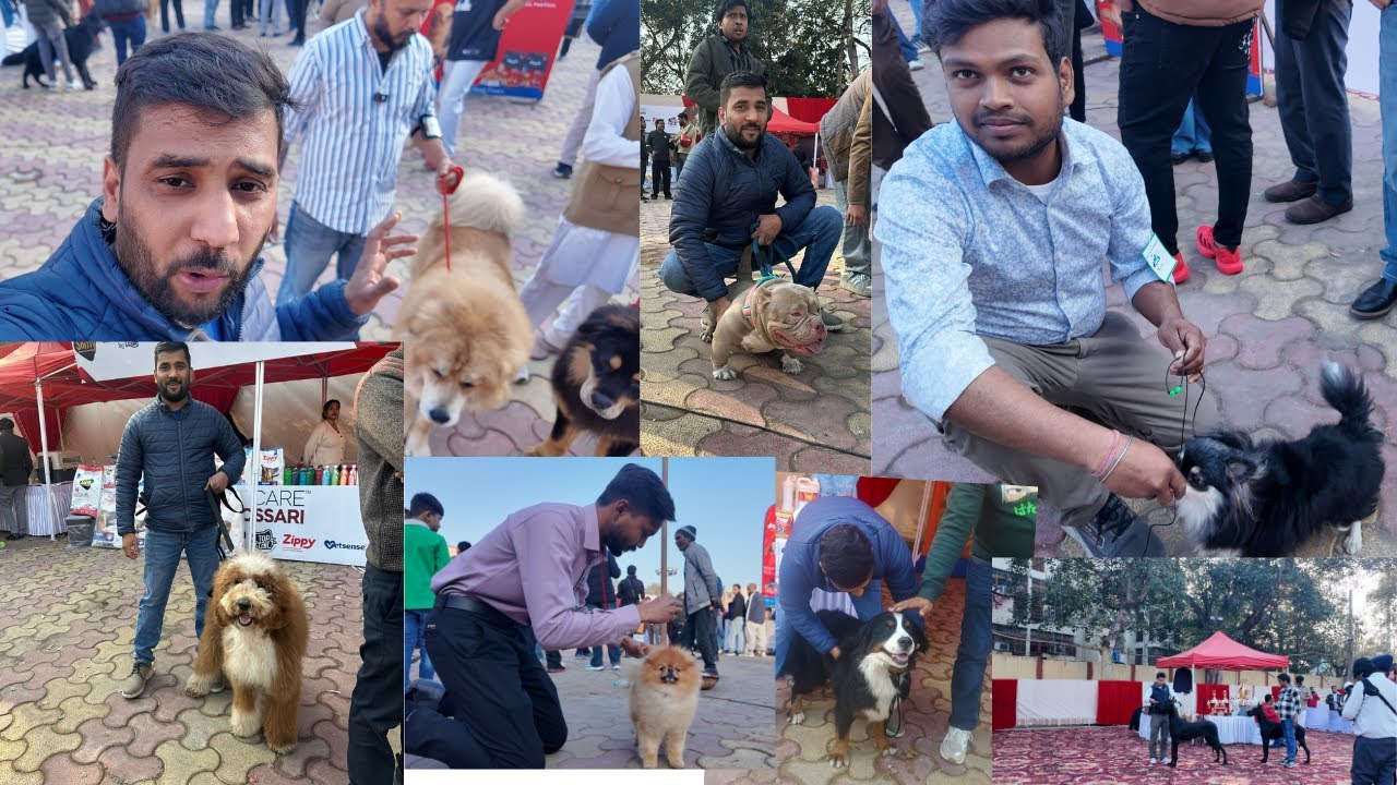 Biggest Delhi  Dog Show 🐶 | Itne Saare Dogs Pehli Baar Dekhe 😍 #exoticpets Part1
