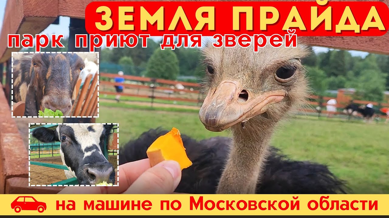 ПАРК ЛЬВОВ 