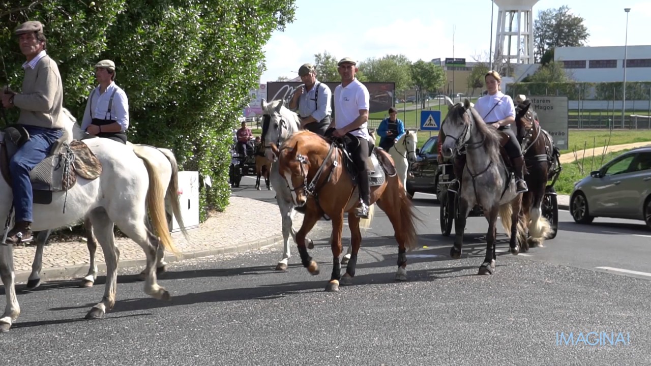 Passeio a Cavalo - Benavente 2017