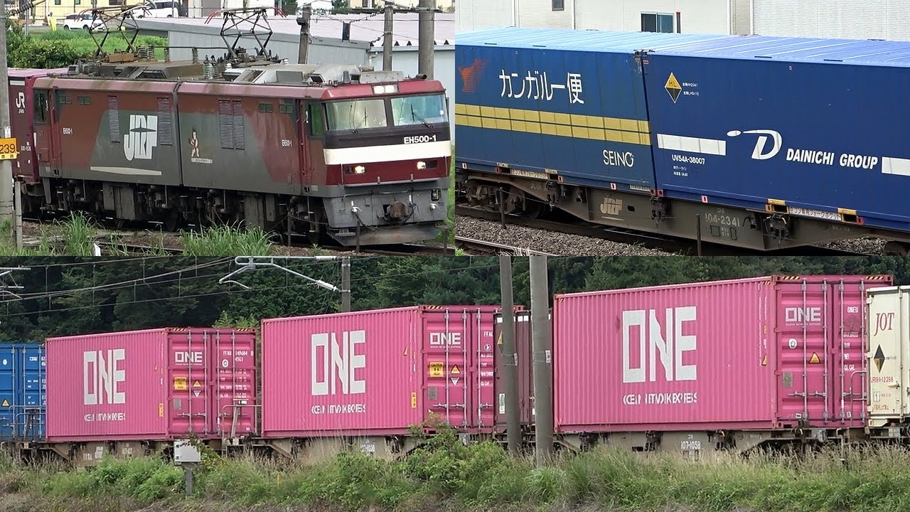 【ENG SUB】東北本線貨物列車(海上コンテナ)と臨時回送電車 警笛・発電ブレーキ起動音あり Japanese Freight Train & E.M.U.