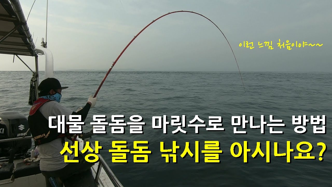 돔 중의 왕 '돌돔' 대물 돌돔을 마릿수로 쉽게 만나는 선상 돌돔 낚시에 대해 알려드립니다.