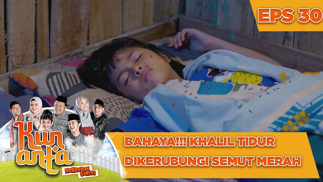 Bahaya!!! Khalil Tidur Diserang Semut Merah
