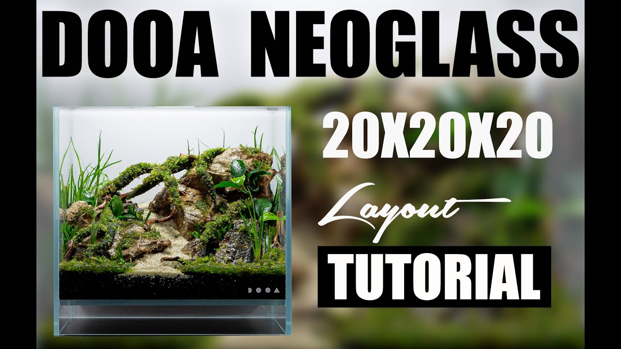 HOW TO BUILD A DOOA NEOGLASS AIR WABIKUSA LAYOUT (TUTORIAL) #aquascaping #terra #wabikusa #plants