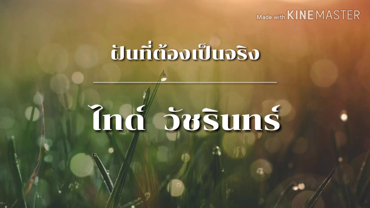 ฝันที่ต้องเป็นจริง - ไทด์ วัชรินทร์ (#เนื้อเพลง) #ฝันที่ต้องเป็นจริง