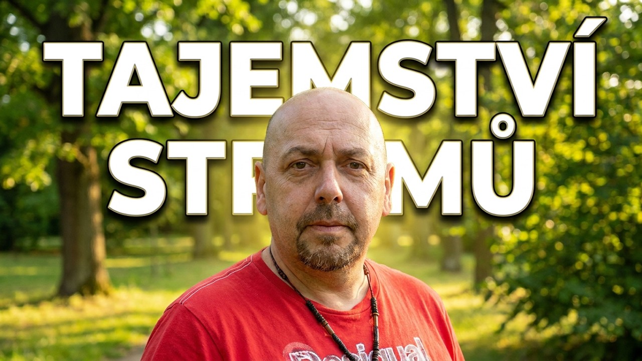 4🌲Navštívil jsem své bratry stromy 🌳29.7.2023 Modřice ( Mirko Polevič)