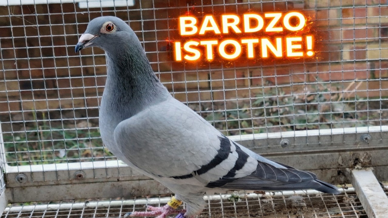 7 Tygodni do Pierwszego Lotu - Najważniejsze Rzeczy!