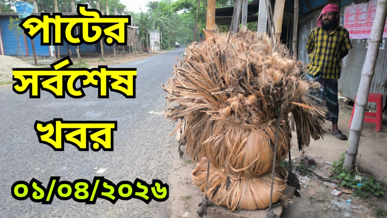 01.04.2026 পা&zwnj;টের সর্বশেষ খবর| Jute Price Today | pater bazar| Faridpur.