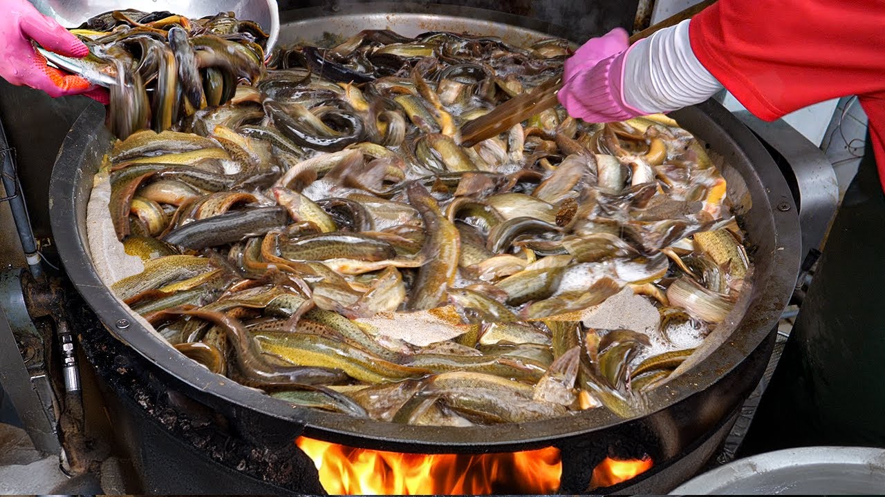 미꾸라지 한달 10톤 완판? 몸보신 끝판왕! 연매출 24억 역대급 추어탕 전문점 Amazing Boiled Mud Fish Soup - Korean street food