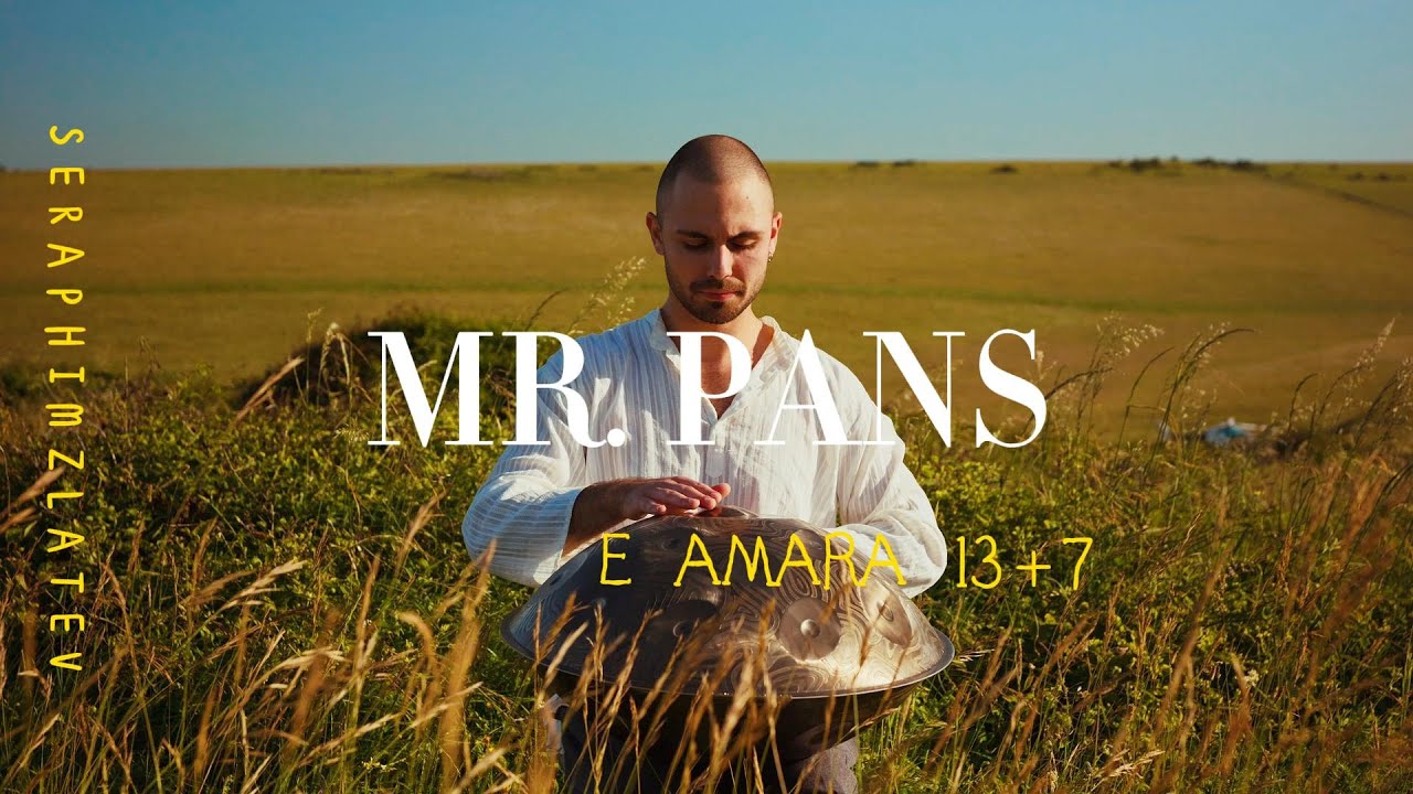 MrPans handpan - E Amara 13+7 - Seraphim Zlatev