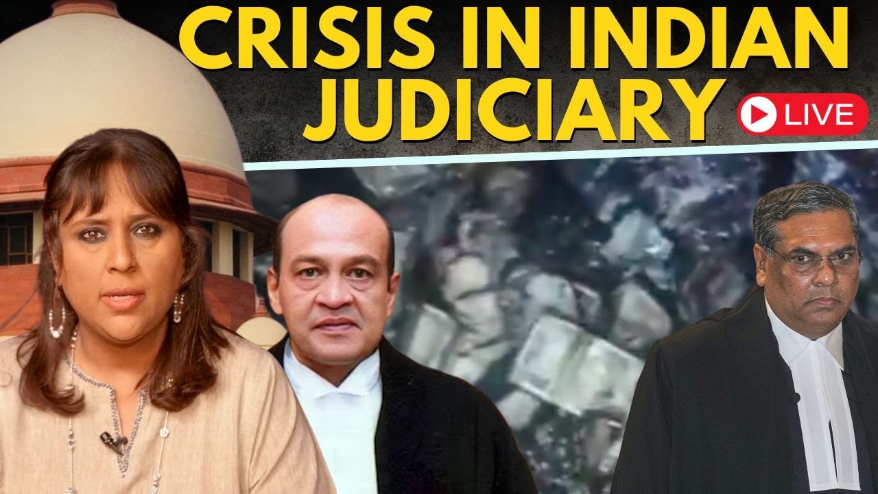 Judge Cash Video LIVE  I  