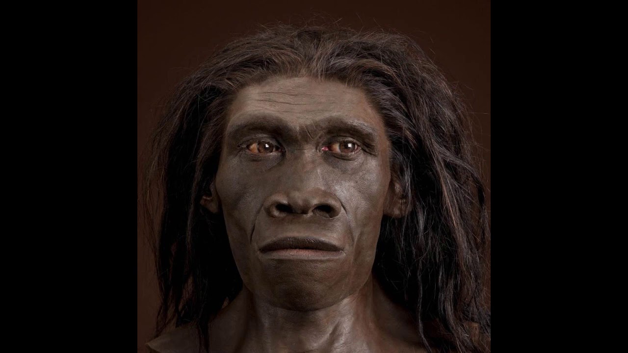 The Third Great Lesson: The Story of Humans