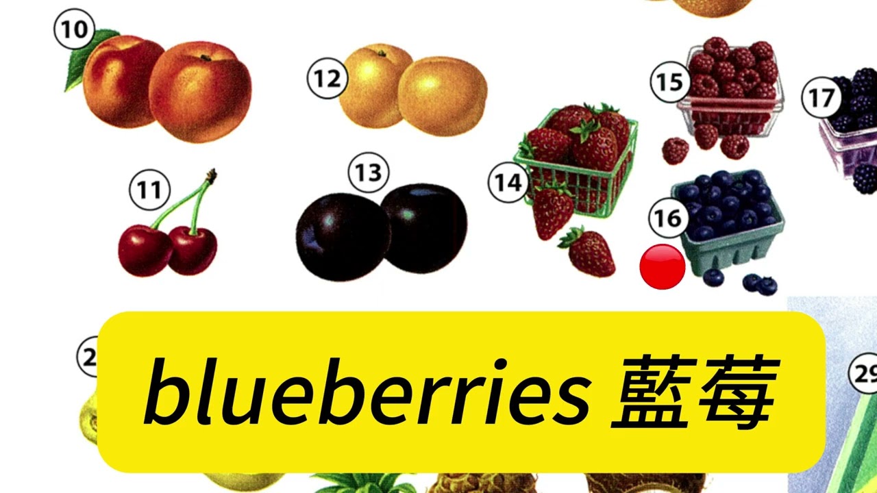 Oxford Picture Dictionary -page66-68 Back from the Market从市场回来 Fruit水果page66-68